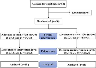 Transauricular vagus nerve stimulation for patients with disorders of consciousness: A randomized controlled clinical trial